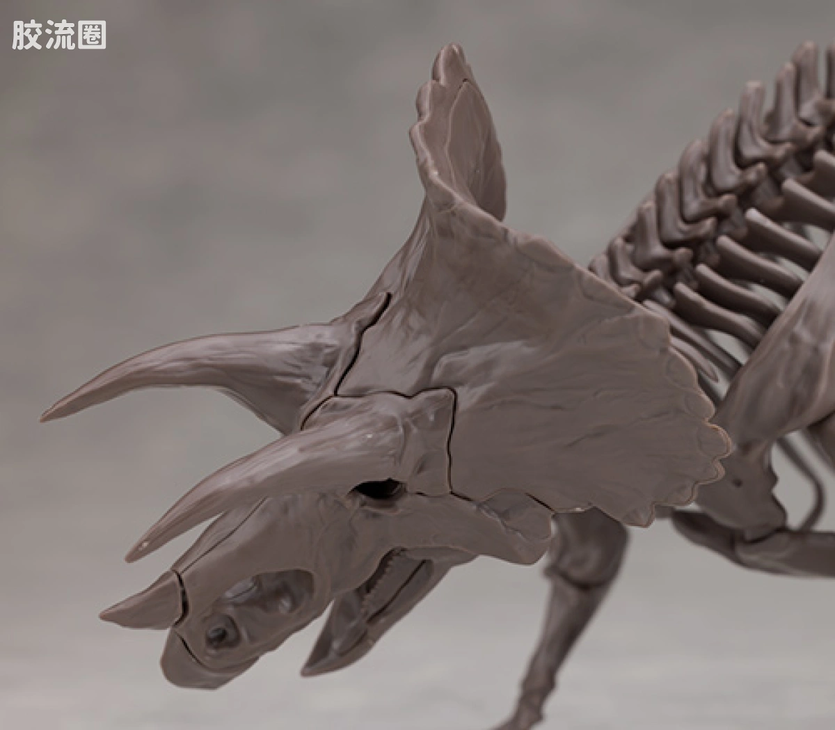 万代综合拼装模型系列 Imaginary Skeleton系列 三角龙 - 图片